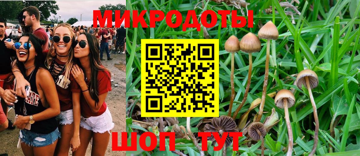 Сальск  Галлюциногенные грибы мицелий  Галлюциногенные грибы прущие грибы  Вход с VPN 